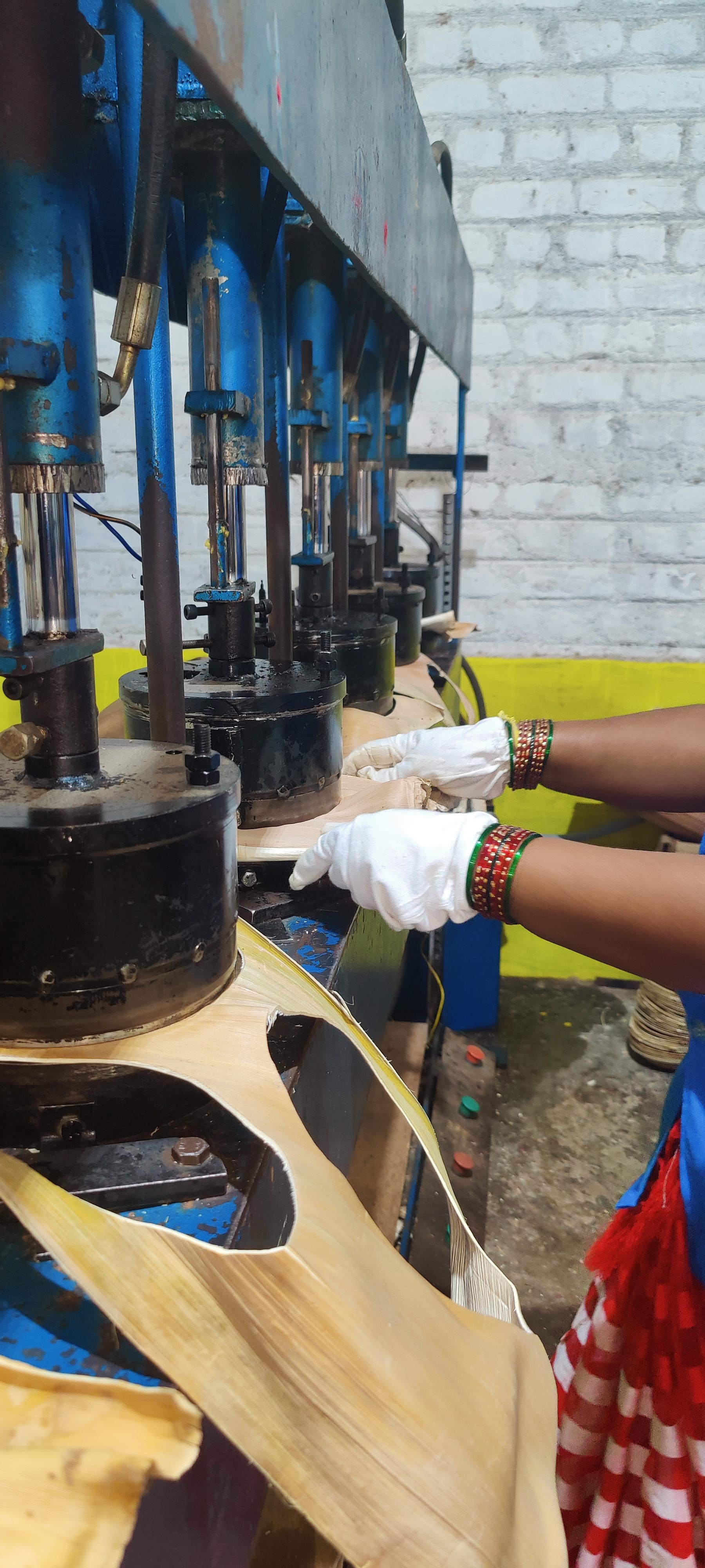 Prakritii Foundation women livelihood program